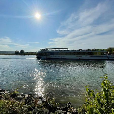 Chalet an der Donau direkt bei Regensburg Pentling Exterior foto