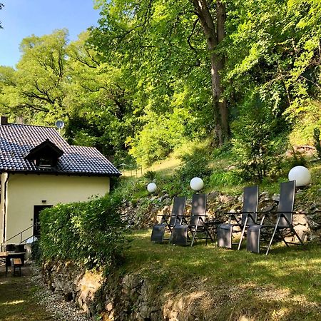 Chalet an der Donau direkt bei Regensburg Pentling Exterior foto